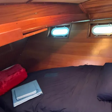 Delphin 4 Odysea It סנרמו