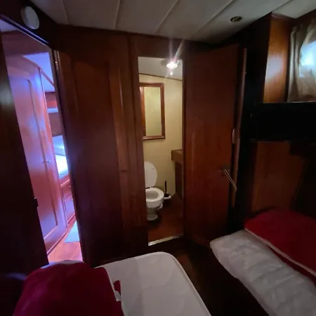 Delphin 4 Odysea It * סנרמו