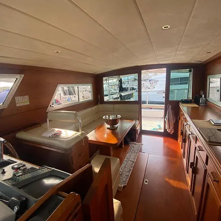 Delphin 4 Odysea It