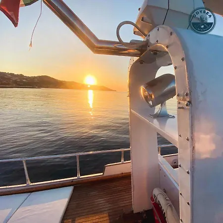 Delphin 4 Odysea It Botel *