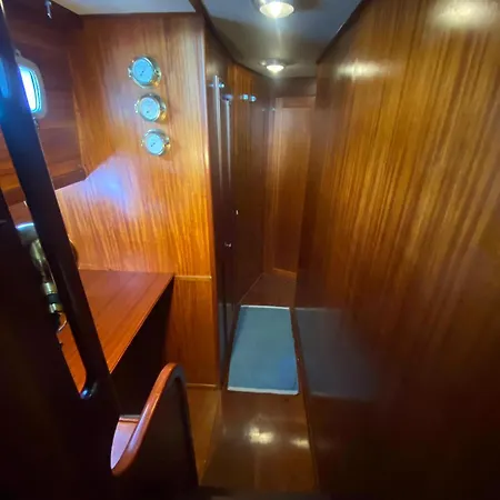 Delphin 4 Odysea It Botel