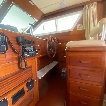 Delphin 4 Odysea It Botel